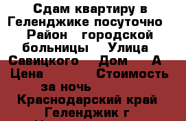 Сдам квартиру в Геленджике посуточно › Район ­ городской больницы  › Улица ­ Савицкого  › Дом ­ 11А › Цена ­ 2 000 › Стоимость за ночь ­ 2 000 - Краснодарский край, Геленджик г. Недвижимость » Квартиры аренда посуточно   